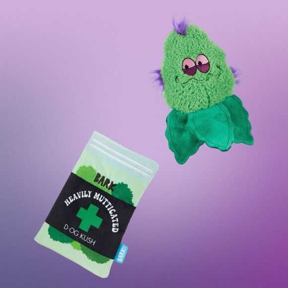 NIP Bark Box 420 Plush Treat Trapper Gina’s Grass Grinder Toy NEW UNOpened - Picture 4 of 4